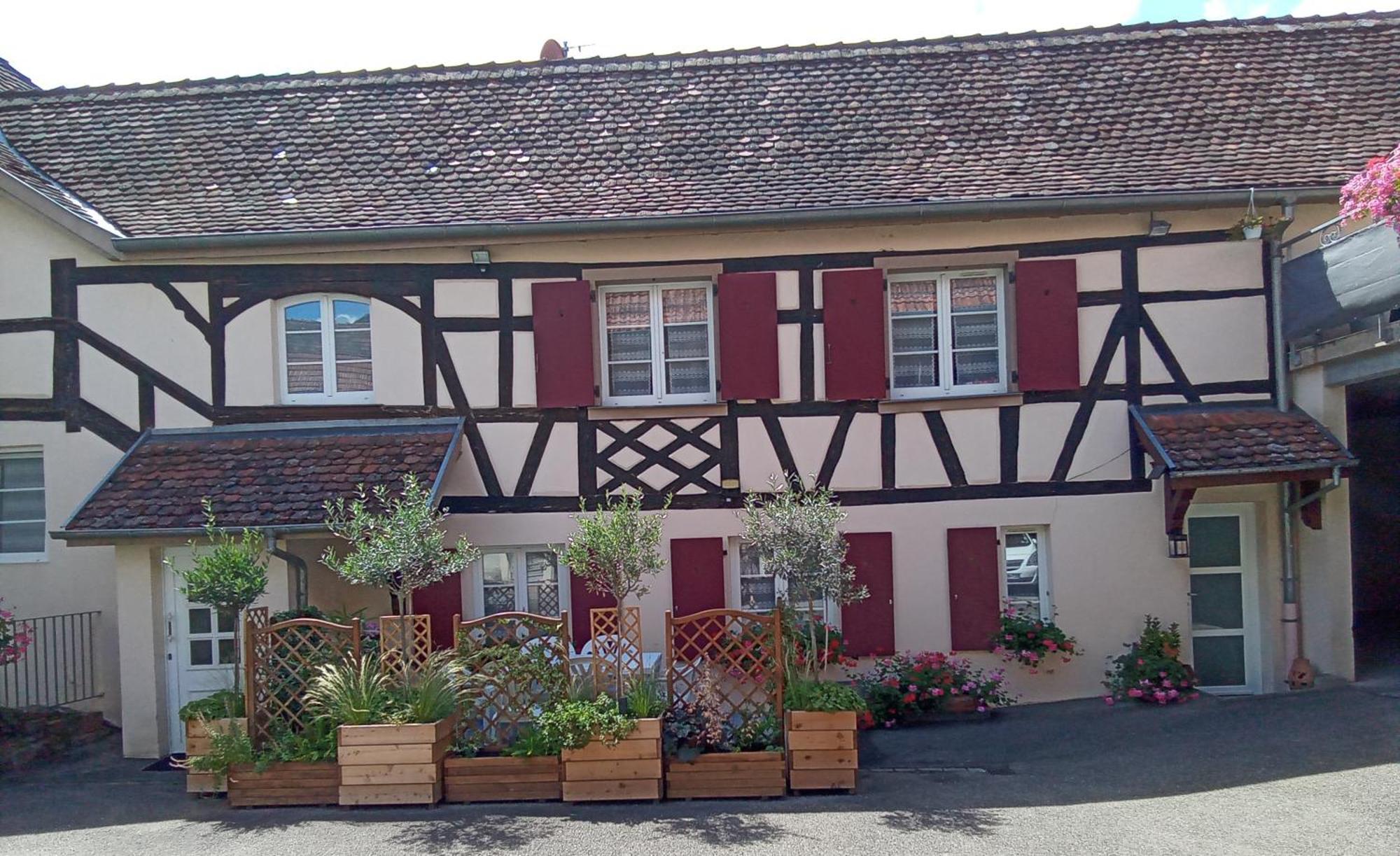 Le Repaire Des Hirondelles - Le Colombage Villa Scharrachbergheim-Irmstett Екстериор снимка